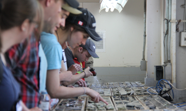 Mentors and mentees work together to create a cohesive workforce, eliminating knowledge gaps within the industry.