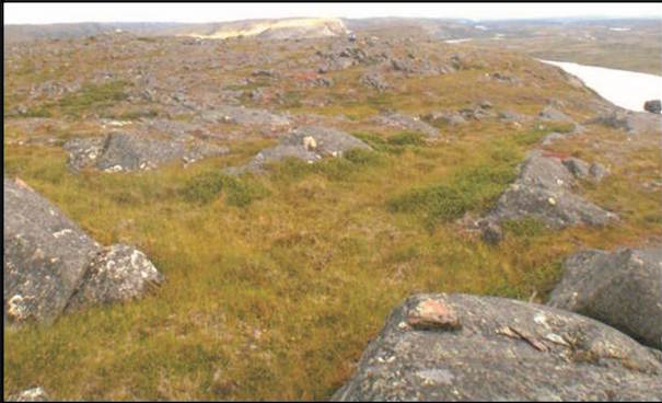 Landscape of Southern Labrador Trough, Quebec