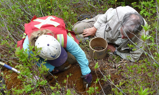 Heberlein and Dunn's team are collecting samples of soil and twigs.