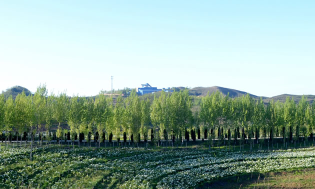 Farmland Surrounding Henan Found Office