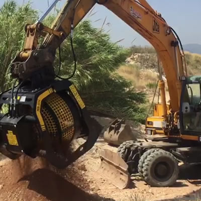 Cleaning the beaches of the world