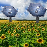 Switzerland’s solar sunflower