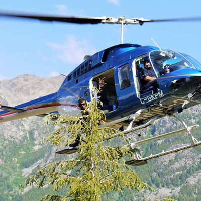 Tree-top sampling program may help uncover new mineral deposits in B.C.