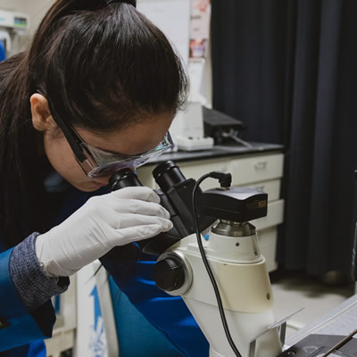 Good Jobs, Competitive Pay, Interesting Work - Why Aren’t Women Applying?