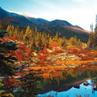 Could this be a new gold district?