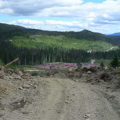 FPX Nickel reports new surface samples expanding large-scale Van Target at Decar Nickel District