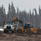 Getting the skills to succeed