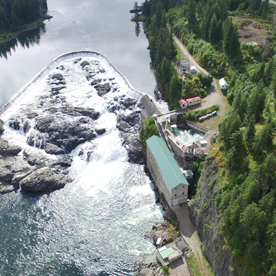 A successful sunny garden