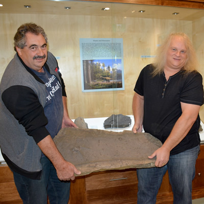 Local dinosaur prints on display at Cranbrook History Centre