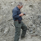 Decar project holds groundbreaking potential