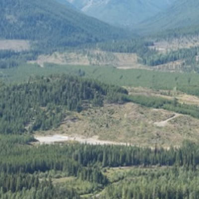 Centremount Coal calls for public comment on proposed new mine in Elk Valley