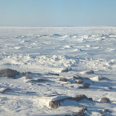 Dunnedin Ventures announces management team for Spinout - Solstice Gold - and provides gold results