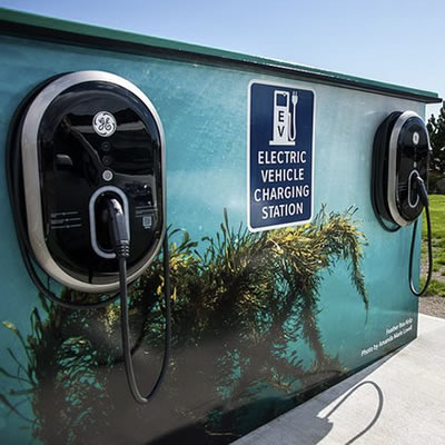 Government charging up electric vehicles