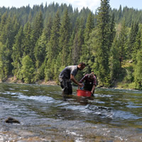 UNBC releases initial findings from tailings pond breach