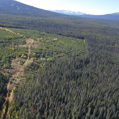 Glacier Lake completes first pass 2017 exploration program at Silver Vista