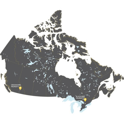 Intact Gold Corp. appoints new member to Board of Directors