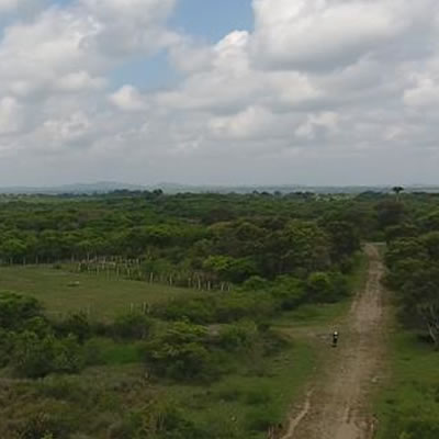 Mexican energy reform: follow “first movers” to find oil and gas opportunities in the south