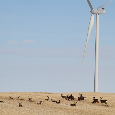 Major renewable energy company focuses on Alberta
