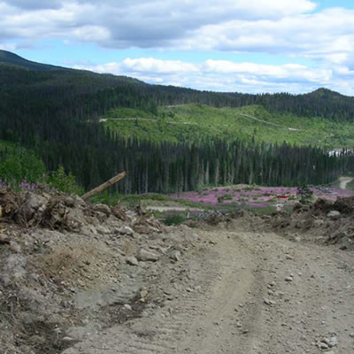 FPX Nickel stepout drilling at Baptiste Deposit intersects second-highest grade near-surface nickel