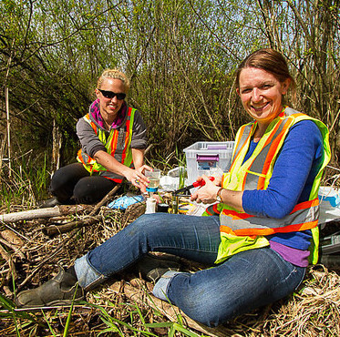 New mine reclamation technique uses eDNA to detect elusive animals