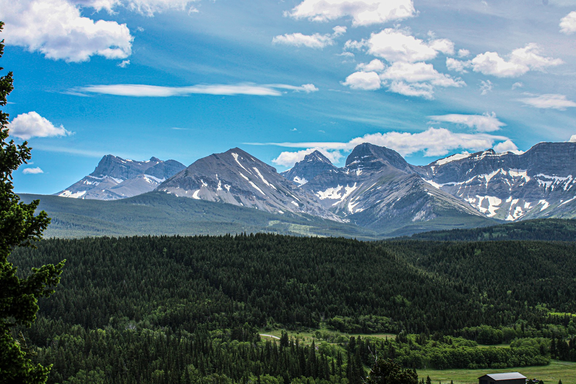 Crowsnest Pass Residents Vote Overwhelmingly in Favor of Grassy Mountain Coal Mine
